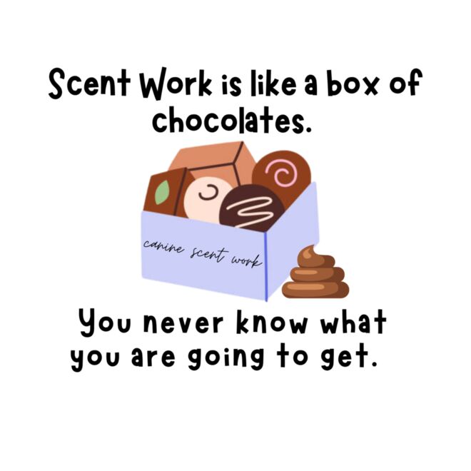 box of chocolates Thumbnail