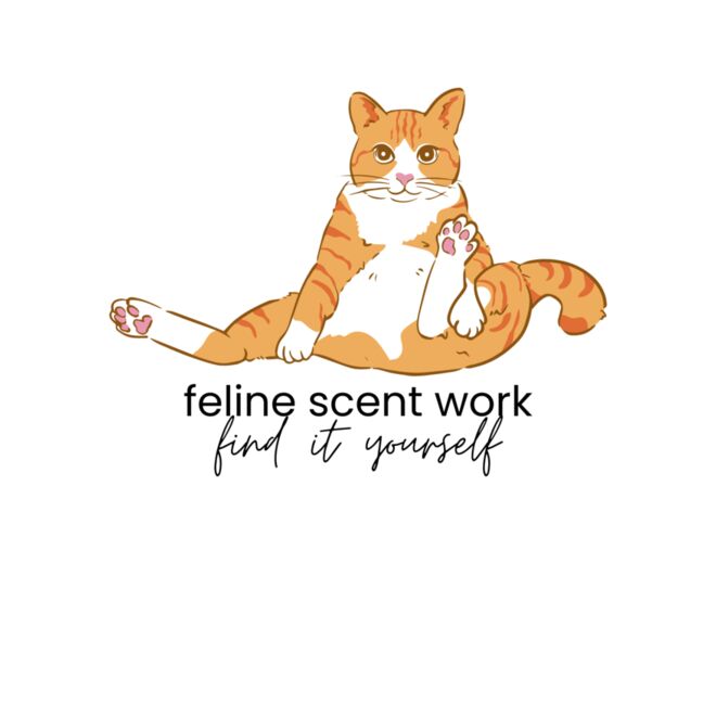 feline scent work Thumbnail